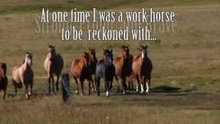 Pie: An Old Brown Horse