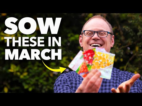 You Must Sow These Seeds in October