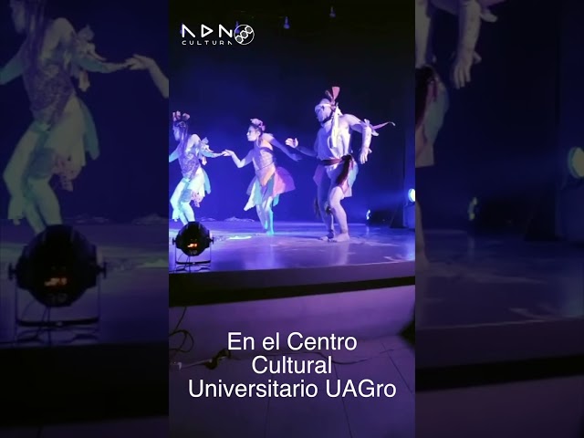 Vídeo relacionado con El coloquio de los pájaros (SEXTO PISO ILUSTRADO)