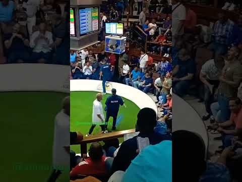 Así bajan los gallos al redondel en el Coliseo de Santo Domingo (CGSD).