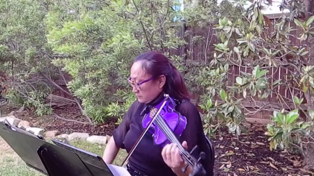 Promotional video thumbnail 3 for Serenata Strings