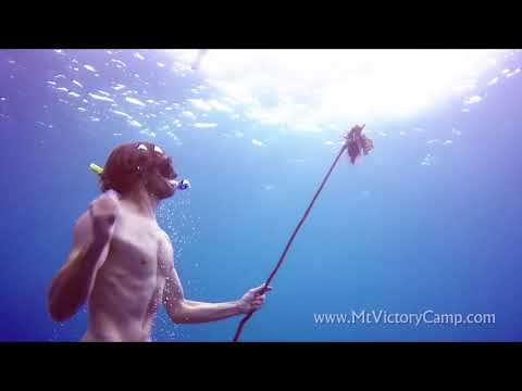 Spearing a Lion fish with a Primitive Spear - Tropical Survival
