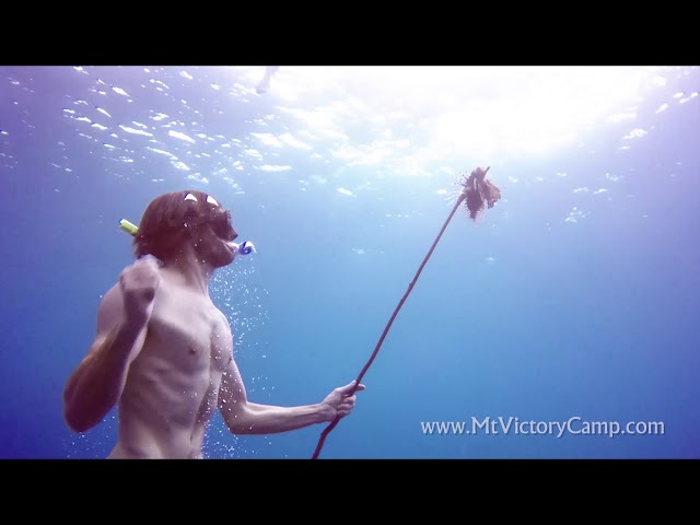Spearing a Lion fish with a Primitive Spear - Tropical Survival