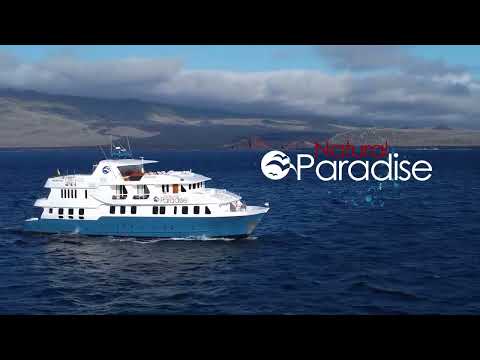 Cruise video 1