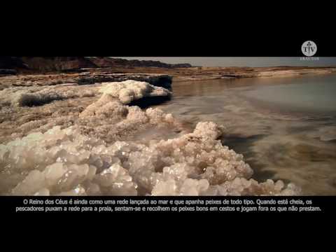 Evangelho de São Mateus 13, 44-52 - Arautos do Evangelho