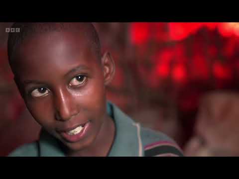 BBC News - 22:00 Mon 14/11/2022