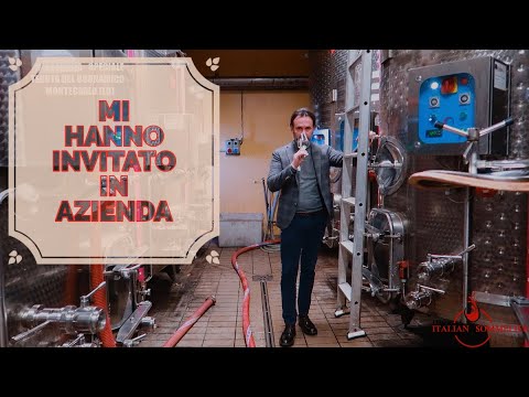 Mi hanno invitato in azienda! WOW! #InAzienda Speciale Tenuta del Buonamico – Montecarlo (LU)