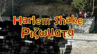 preview picture of video 'Harlem Shake - Rizomata'