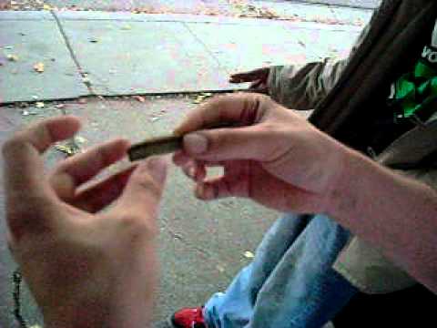 behind the schemes:how to roll a blunt