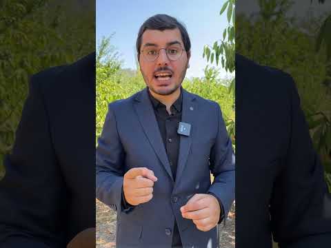 Noter - Tapu Dolandırıcılığı