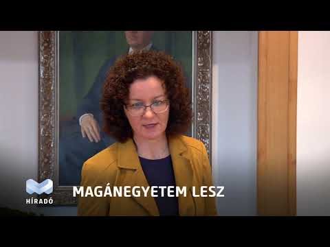 Videó előnézet
