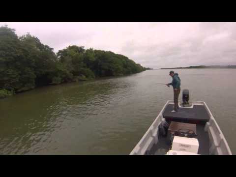 FLy FiShiNg Pira Pita Strike wiTh DrY FLy in a Stormy Day - ItA IbAte - CoRRiEnTeS - ArGeNtiNa