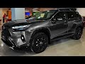 Toyota RAV4 2024 Wundervoller Als Je Zuvor