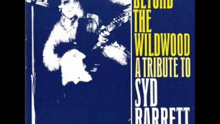 TV PERSONALITIES - APPLES AND ORANGES [ SYD BARRETT COVER ]