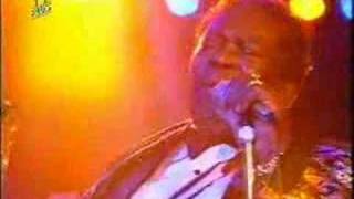 Back In L.A  B.B. King LIVE
