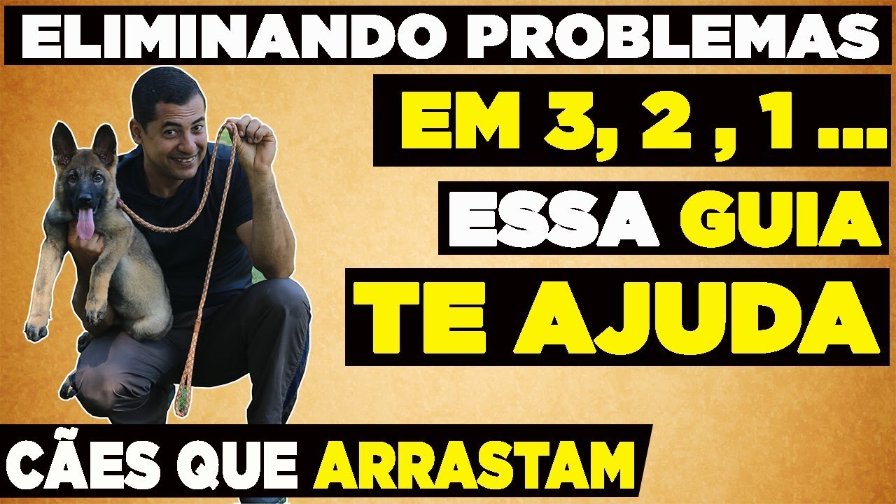 JEITO RÁPIDO E FÁCIL DO CÃO NÃO TE ARRASTAR