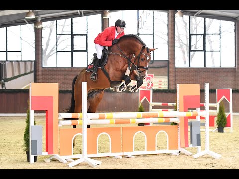 Baggio (Brantzau/Casall/Concerto II) Sporttest Münster 2021