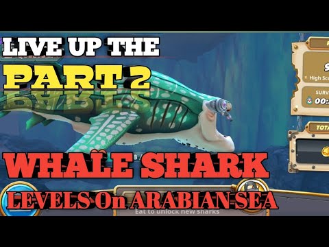 PART 2 LIVE UP THE WHALE SHARK LEVELS On ARABIAN SEA