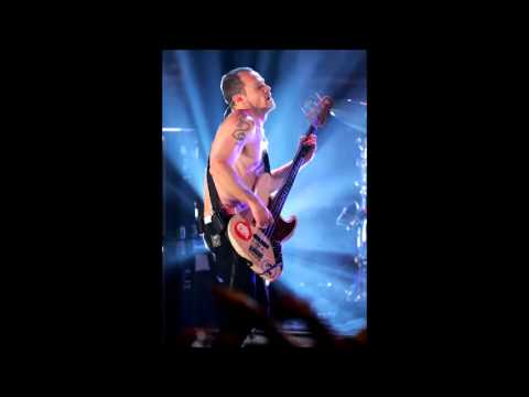 Red Hot Chili Peppers - Needle and the Damage Done (Flea Solo) - Hamburg 2006