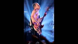 Red Hot Chili Peppers - Needle and the Damage Done (Flea Solo) - Hamburg 2006