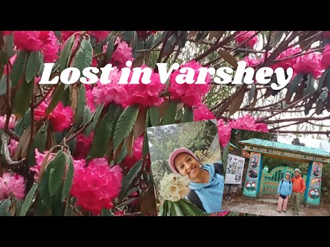 Lost in Varshey - the adventure begins..