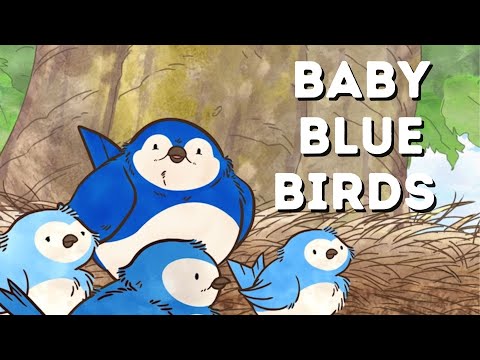Baby Blue Birds - Meet Blue Birds new family