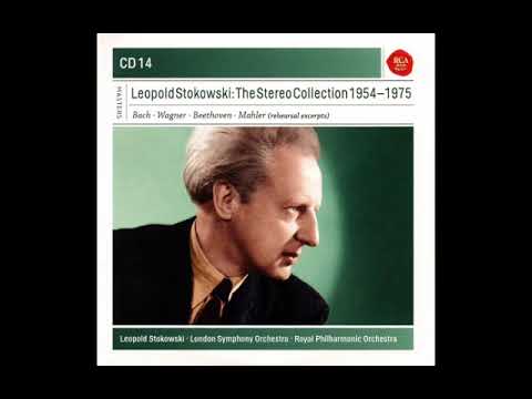 Leopold Stokowski Stereo Collection 14 (Music & Rehearsal)