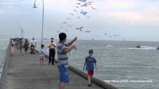 preview picture of video 'Kite Flying at Dromana'