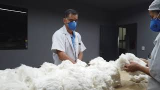 ALGODOEIRA ELIANE - 2019 (BENEFICIAMENTO ALGODAO)