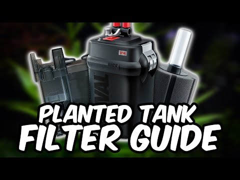 Discover the Ideal Filter for Your Thriving Planted Tank