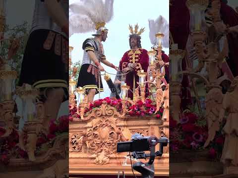 ABNEGACIÓN DE SAN BERNARDO | CARIDAD DEL GUADALQUIVIR  #semanasanta #semanasantasevilla #viralvideo