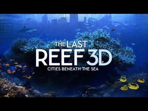 Thumbnail of the video: The Last Reef