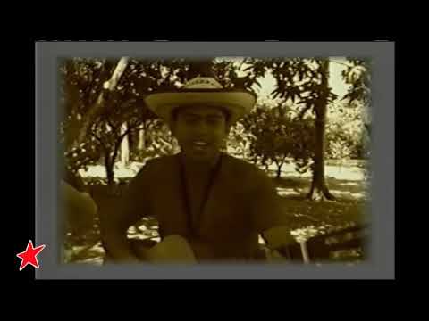 La Araña Picua - Los 50 de Joselito