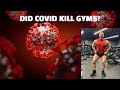 Did Covid Kill Gyms?