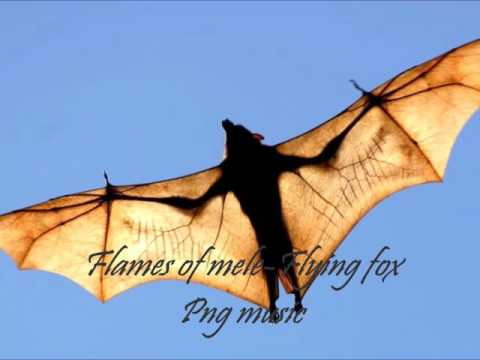 flames of mele- flying fox (PNG music)
