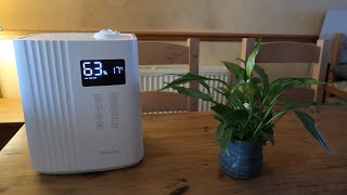 THE Best Humidifier For Your Houseplants