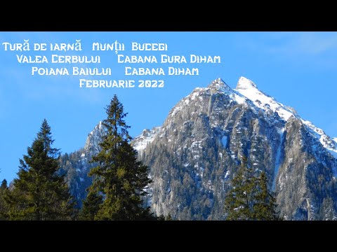Aventură în Munții Bucegi. Valea Cerbului.Cabana Gura Diham.Poiana Baiului.Cabana Diham.Feb 2022