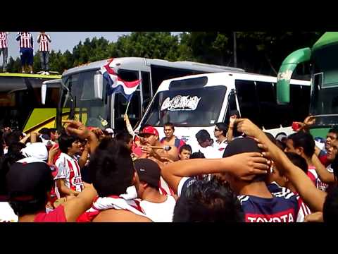 "La banda de Guadalajara presenté en el clásico de" Barra: Legión 1908 • Club: Chivas Guadalajara