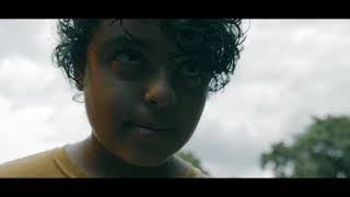'Selva', de Iñaki Echeberria - Trailer