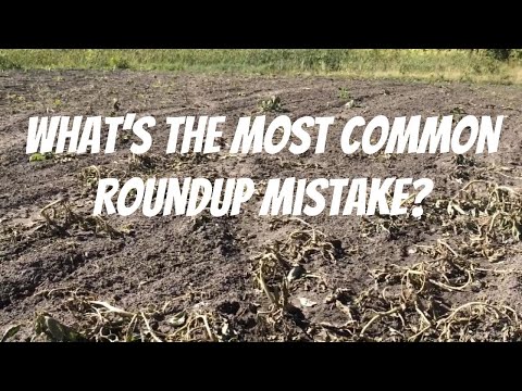 THE MOST COMMON ROUNDUP MISTAKE: What should go in the tank BEFORE glyphosate?