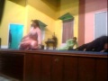 Saima Khan Mujra Live