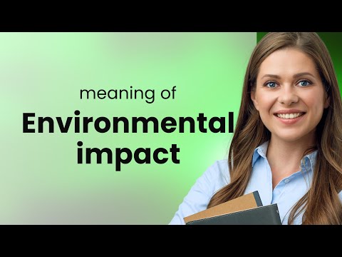 Understanding the Environmental Impact: A Simple Guide