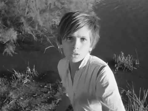 trailer image