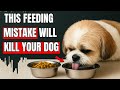 The Deadly Feeding Mistake 98% of Dog Owners Make Every Day ( Vet Warned Every Dog Owner)