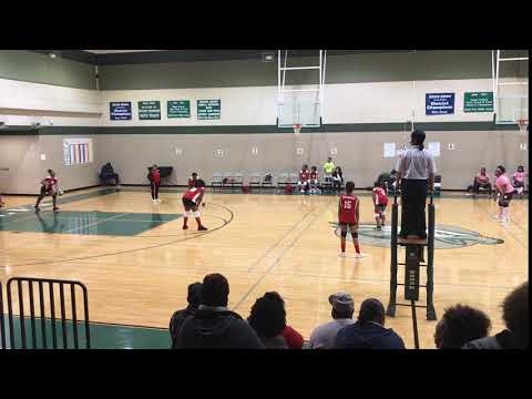 Trinity Williams - 2 - Volleyball 8th Grade 2017