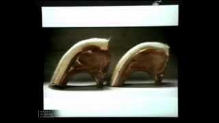 Arturo Falaschi in Normale, La biologia in medicina nell'era post-genomica - 6 dicembre 2002