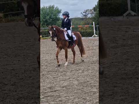 Solche Menschen gibt es überall ...