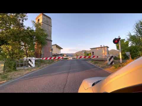 ALn 501 Minuetto in transito al passaggio a livello.