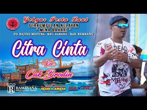 ● CITRA CINTA ● CAK BRODIN ● NEW PALLAPA BAJING MEDURO 2019