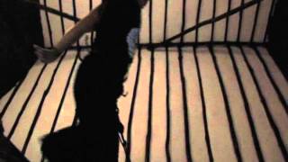 Larry Heard &amp; Mr White  -  The Sun Can&#39;t Compare (Long Version)